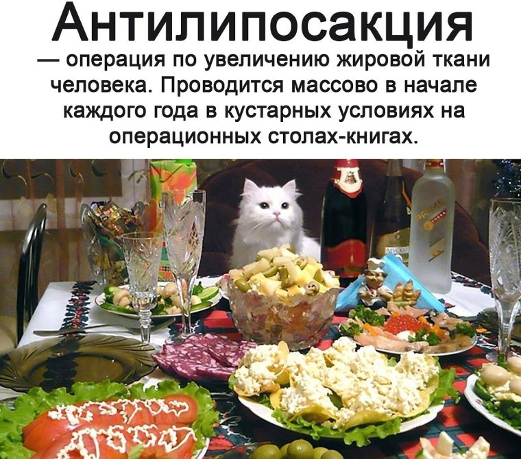 Кот за новогодним столом