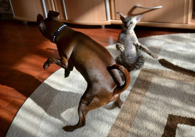 Приколы отпадные