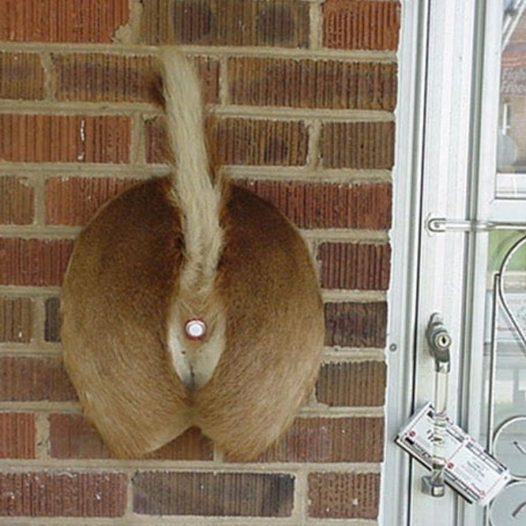 Прикольные дверные звонки