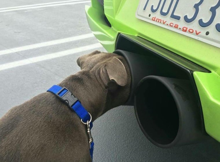 Автоприколы картинки с надписями