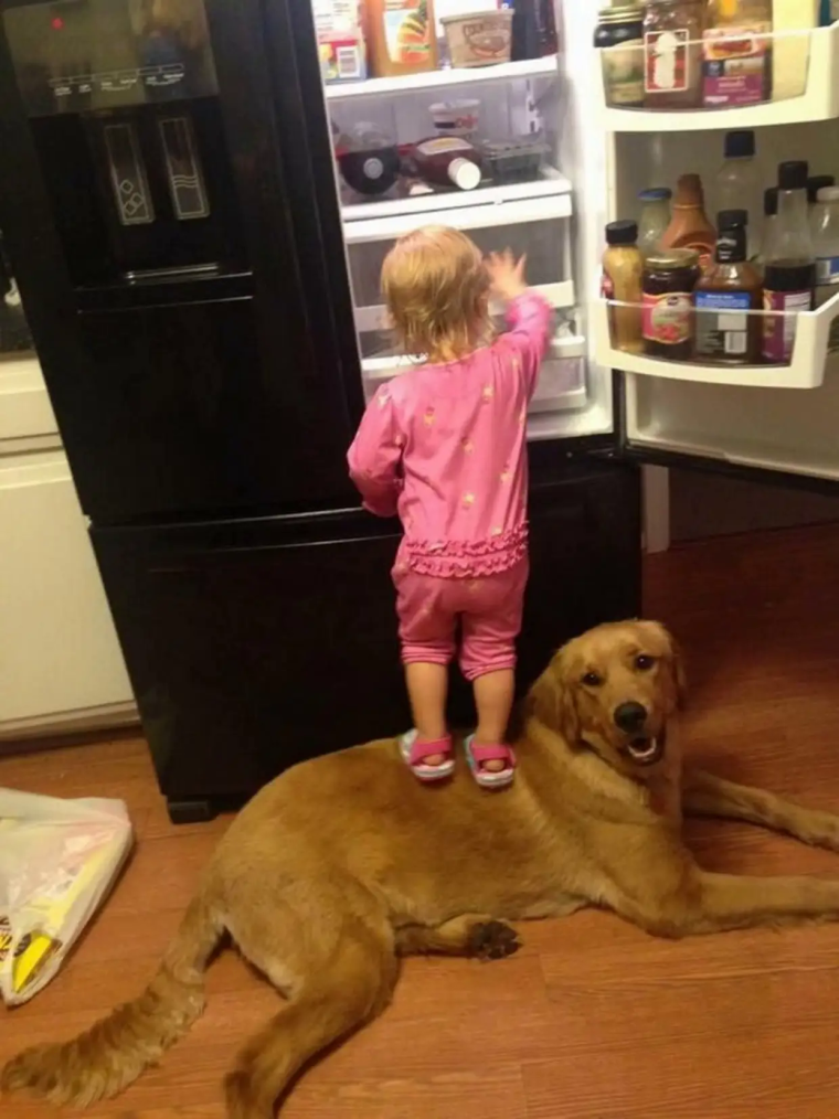 Веселые фото с надписями