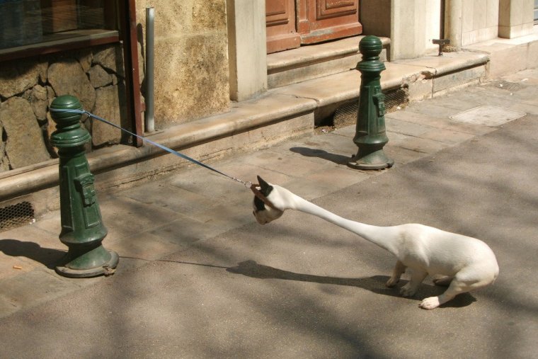 Очень смешные штуки