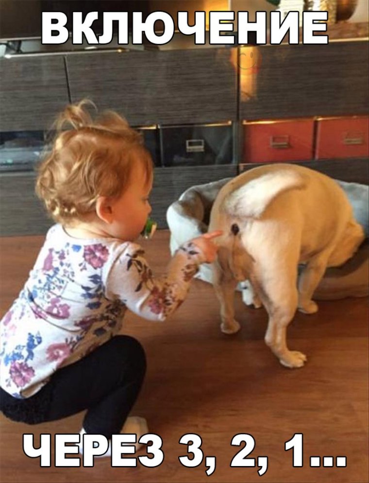 Приколы смешные до слез