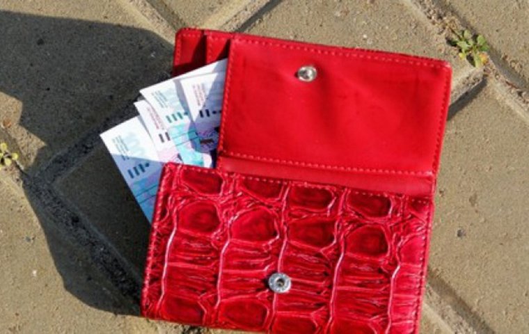 Красная сумка денег