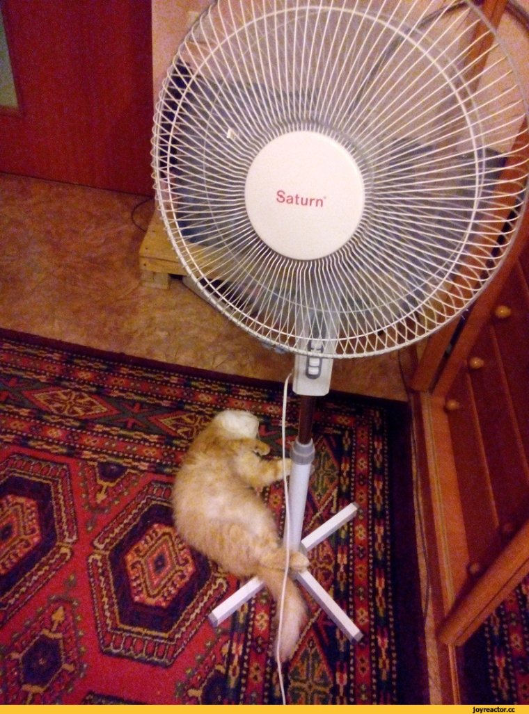 Смешной вентилятор