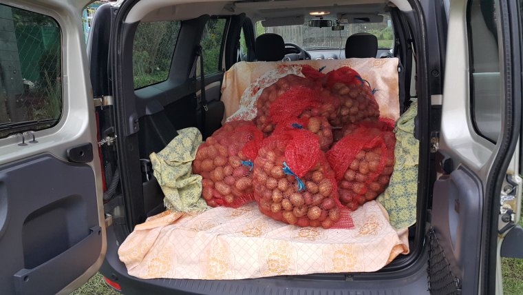 Овощи в багажнике