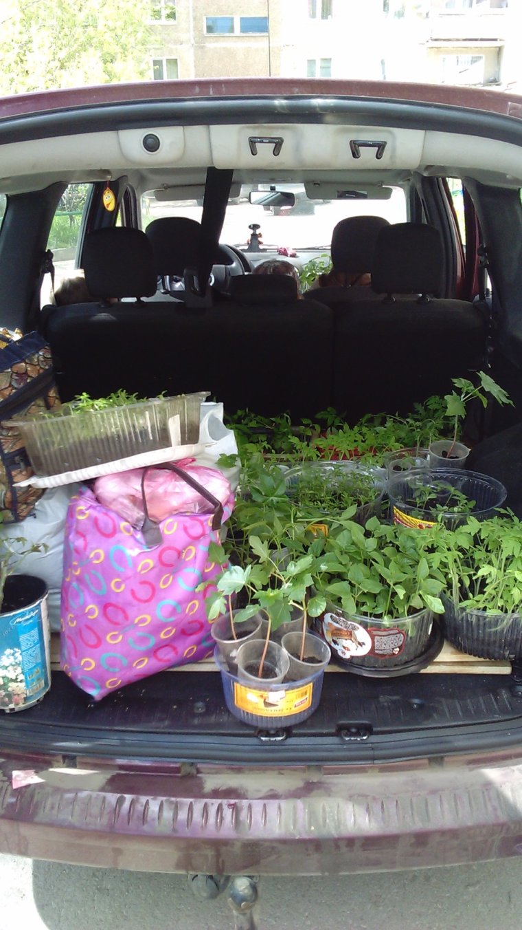 Лада Ларгус прикол