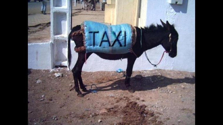 Абсурдные картинки