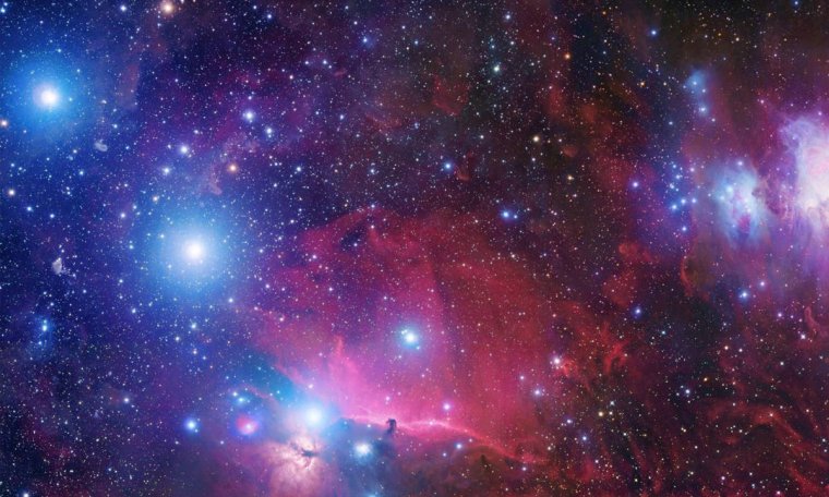 Эшек прикол