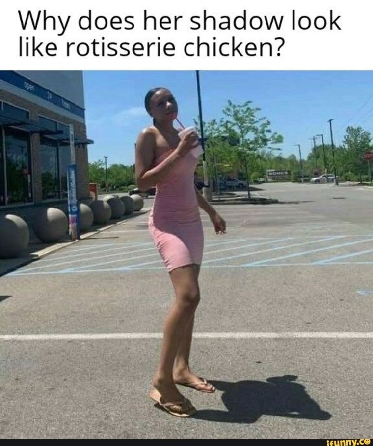 Кот селфи авава