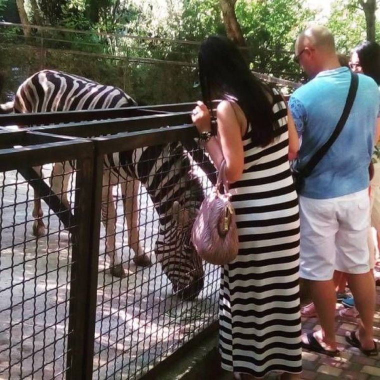 Фото приколы 2021