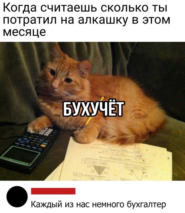 Бухучет кот