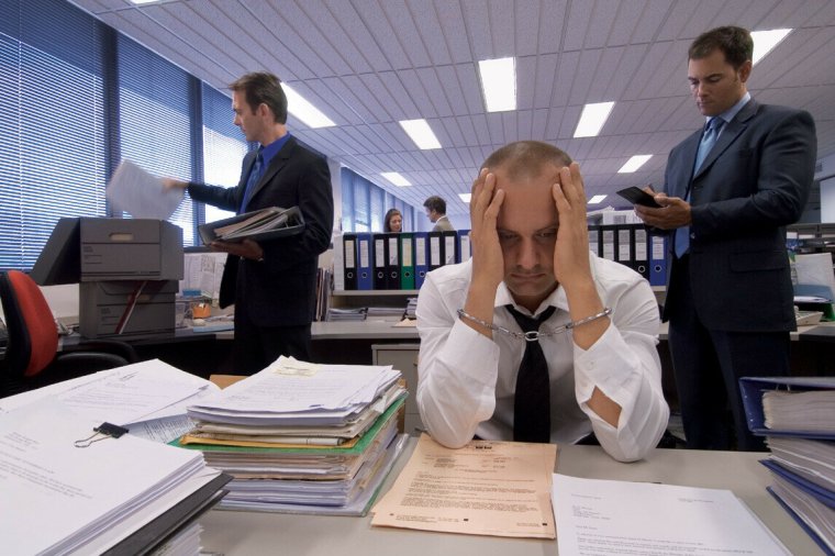 Проверки бизнеса