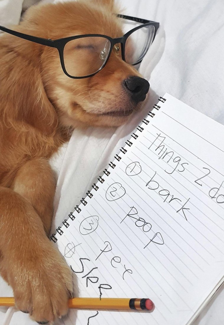 План на день