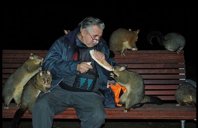 Мышка человек