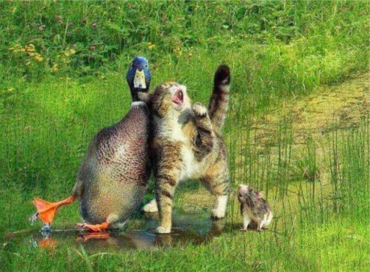 Шумел камыш деревья гнулись