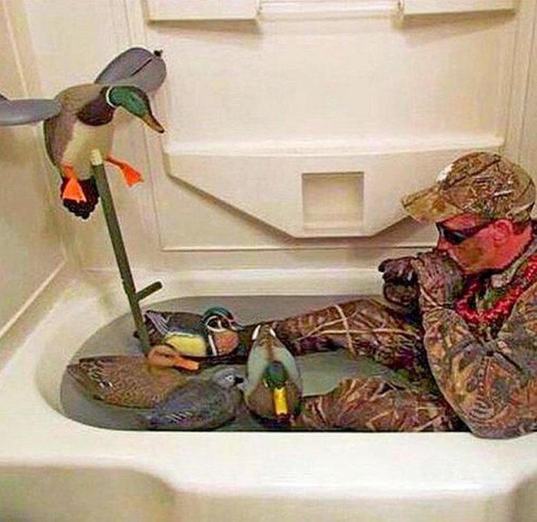 Собака на дереве