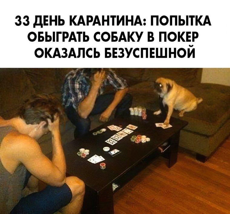 Покер приколы