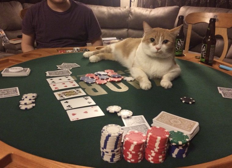 Мемы про Покер