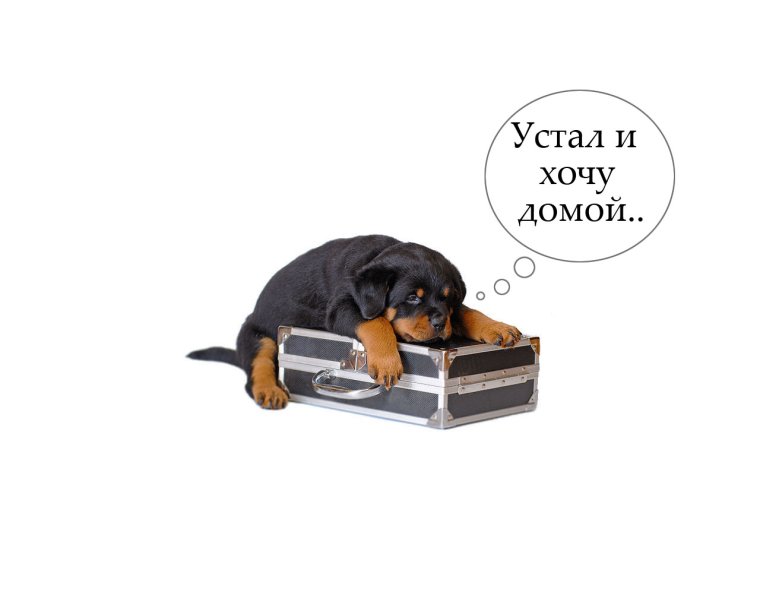 Я устала хочу домой