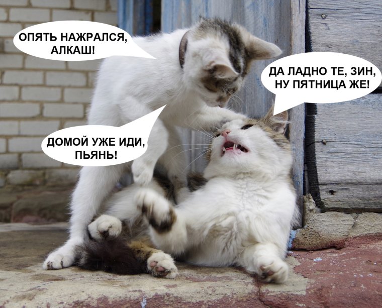 Пятница пора домой