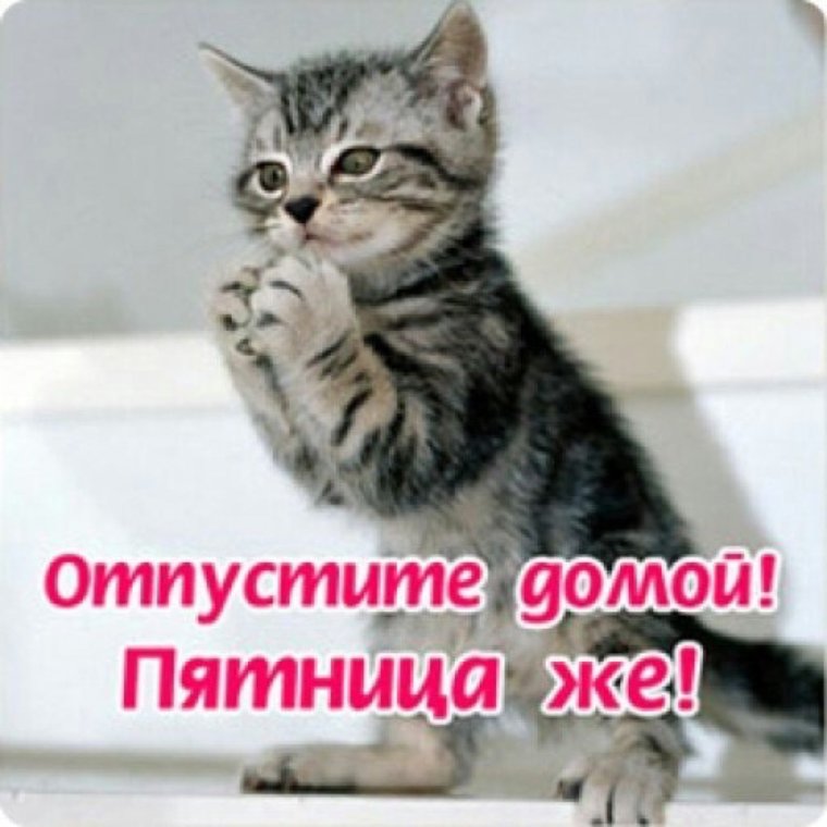 Отпустите домой пораньше пятница же