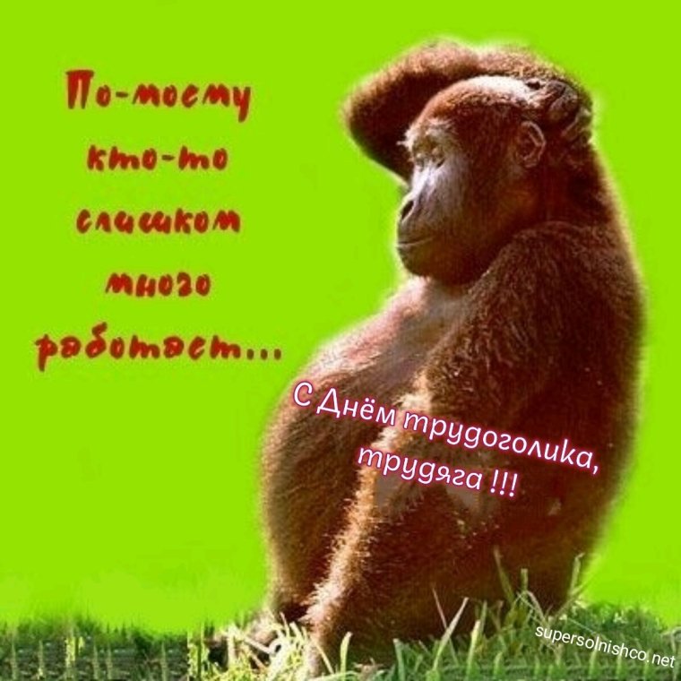 Хватит работать пора