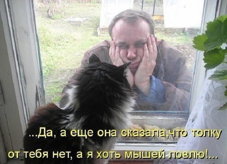 Привыкаю к тебе