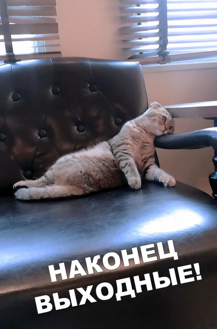 Рабочий день приколы