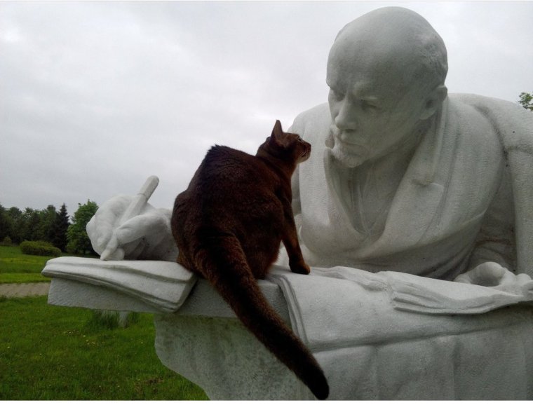 Котики и скульптура Ленина