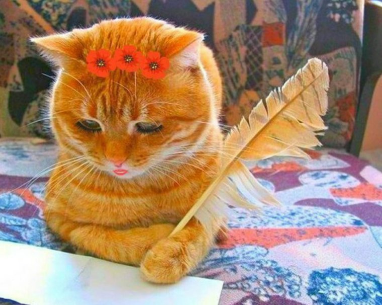 Кот пишет письмо