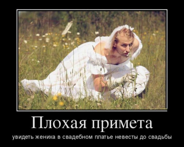 Приколы демотиваторы