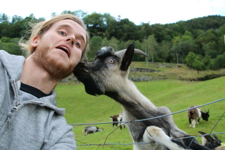 Смешные ситуации с животными