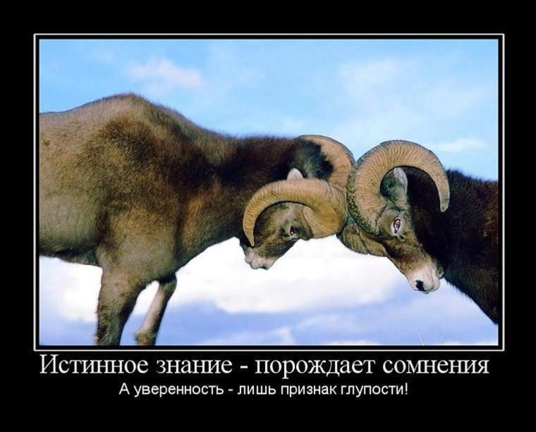 Баран демотиватор