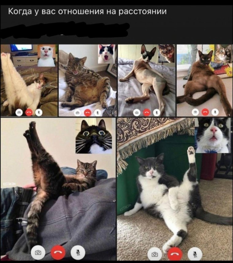 Приколы в сети фото