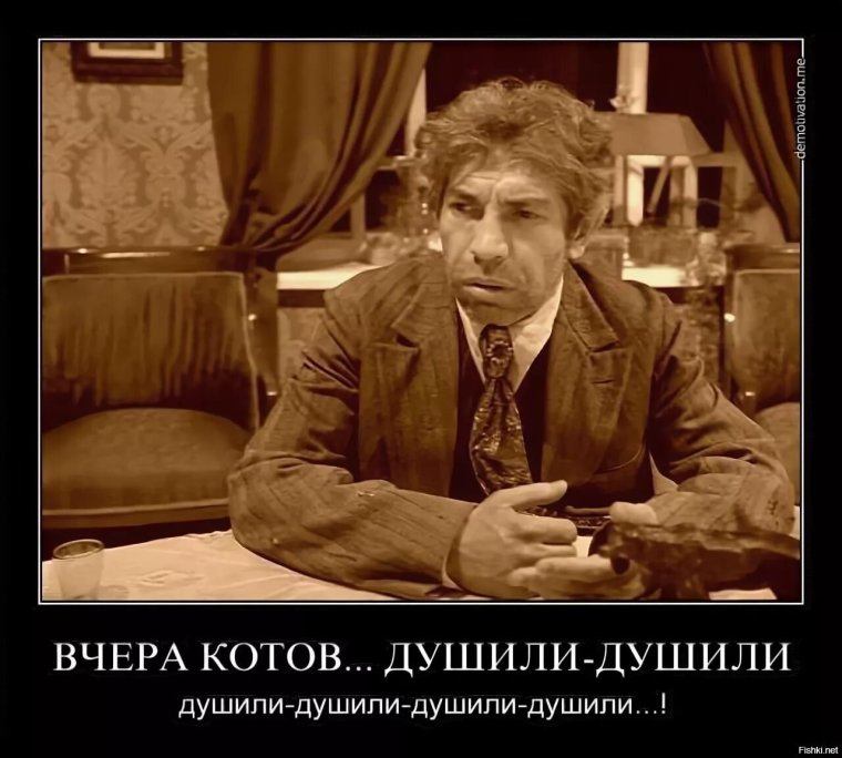 Вчера котов душили-душили душили-душили