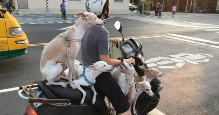 Самые странные поступки людей