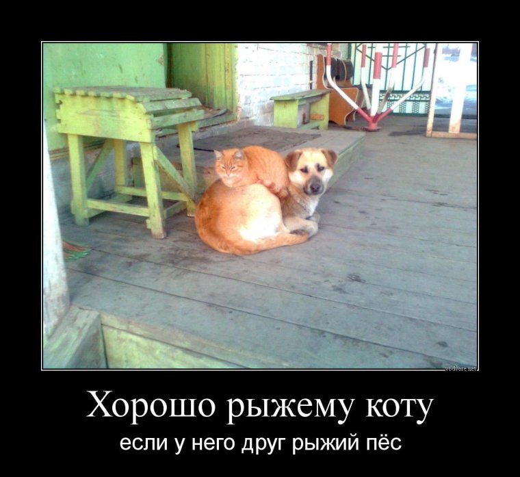 Фестиваль рыжих в Дублине Ирландия