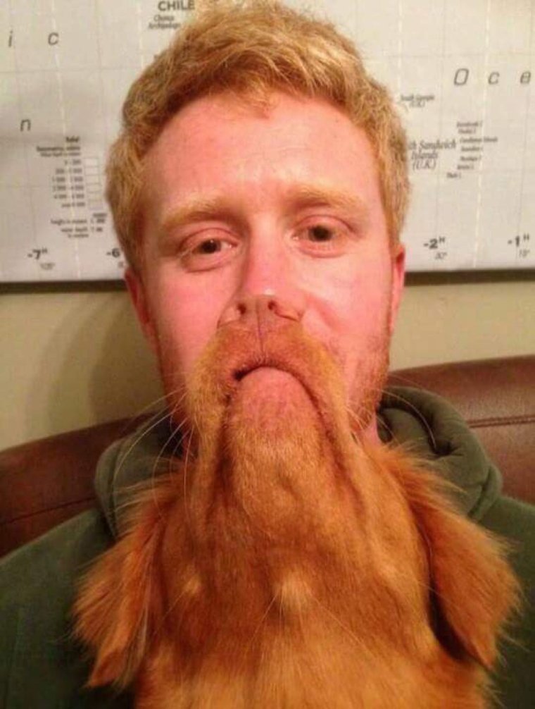 Рыжие девушки прикольные