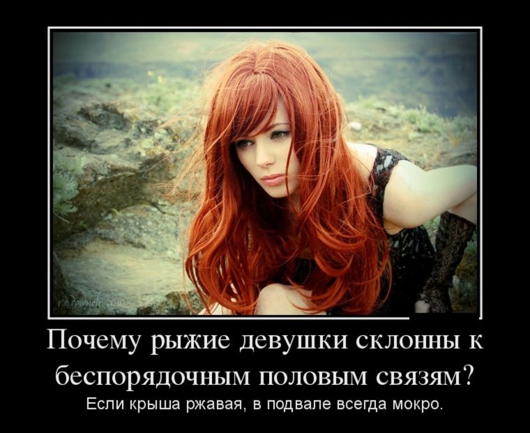 Демотиваторы про рыжих