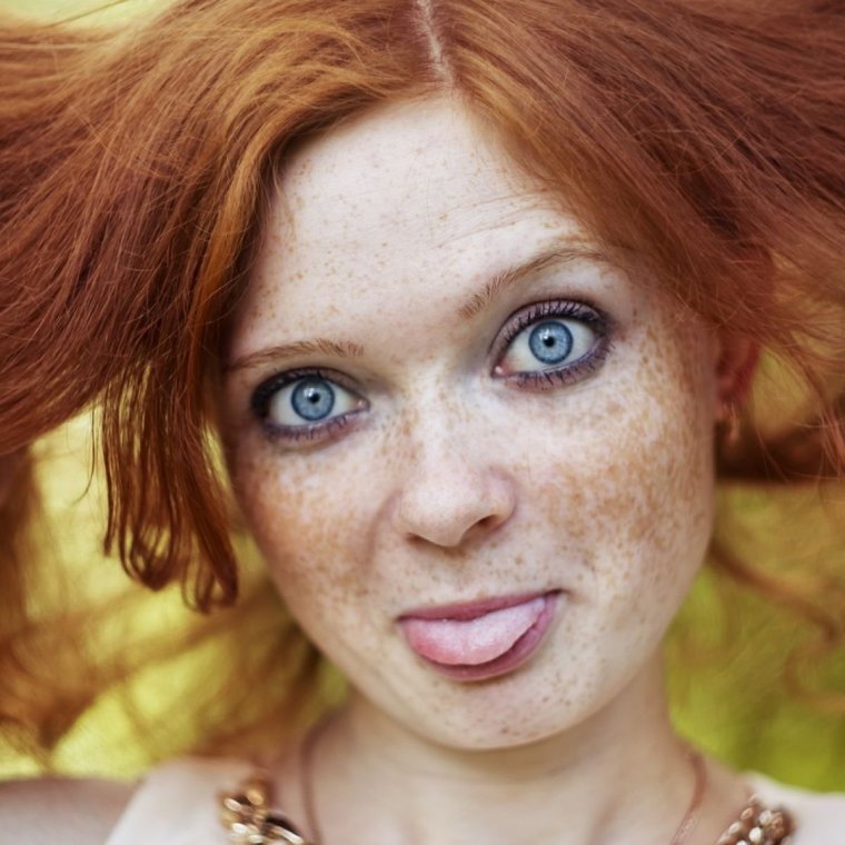 Семейство Мейн кунов