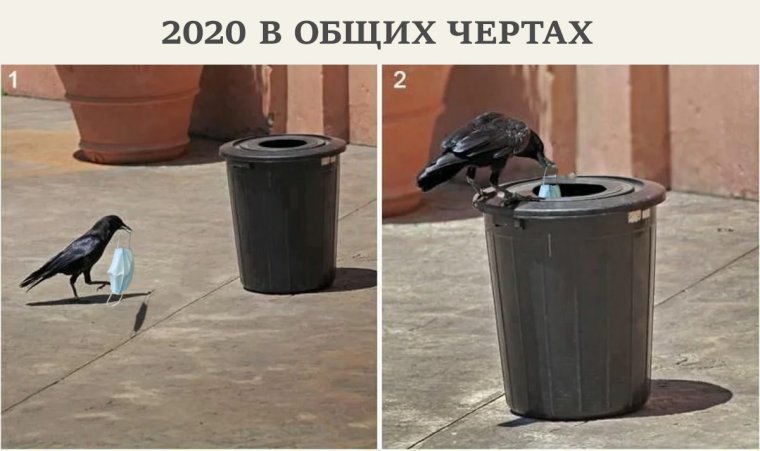 Мусорный контейнер прикол