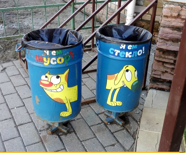 Енот в мусорке