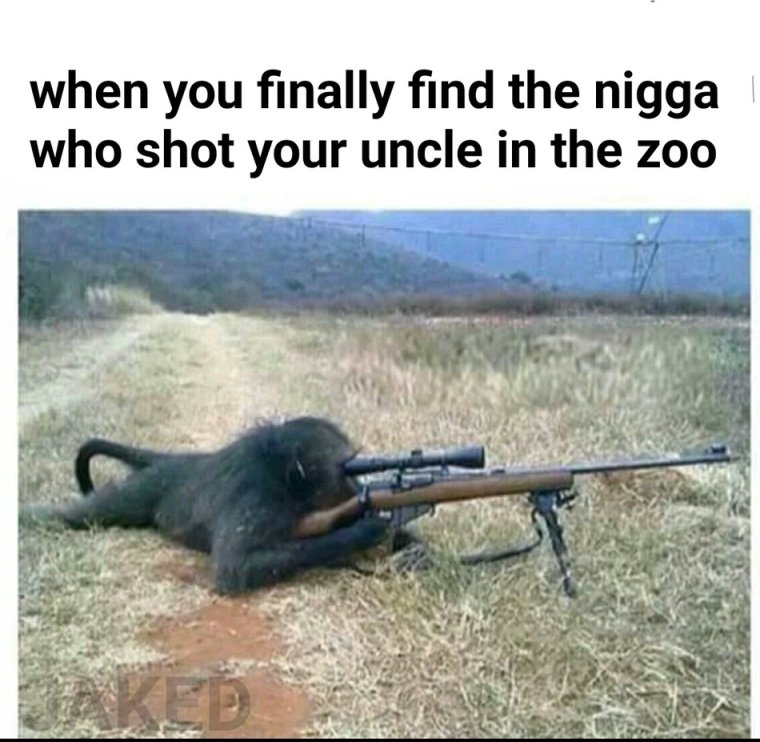 Обезьяна с автоматом