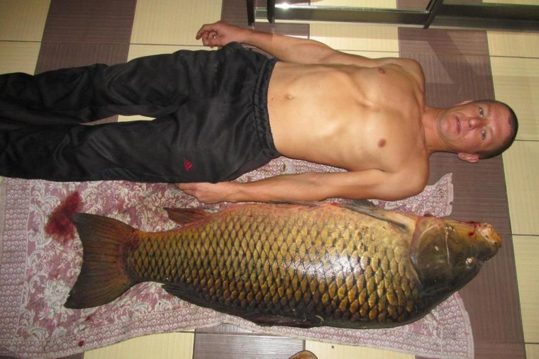 Рыбка улыбается