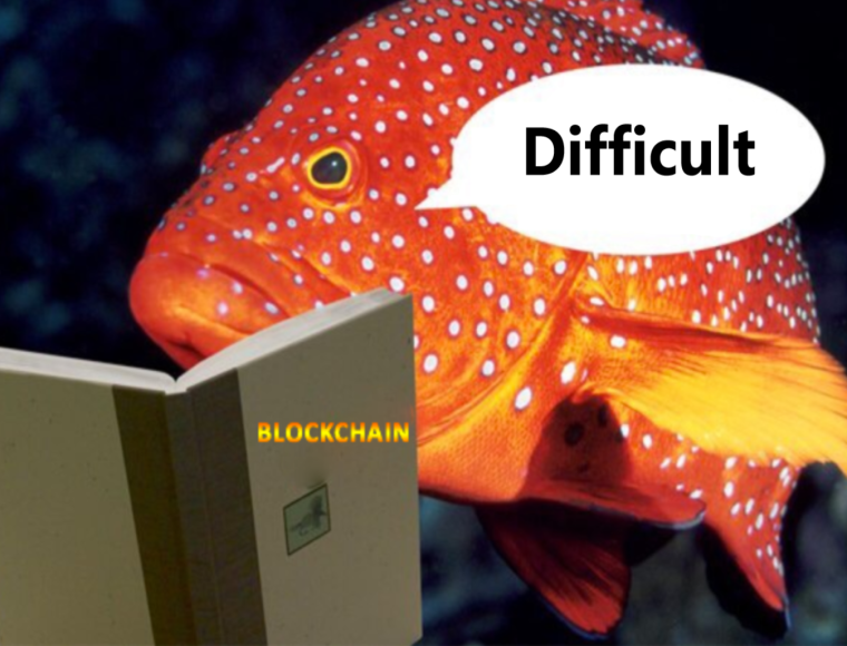 Счастливый сом