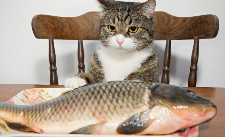 Смешной карась