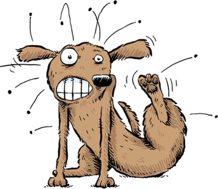 Коты ты же говорила таблетки пьешь