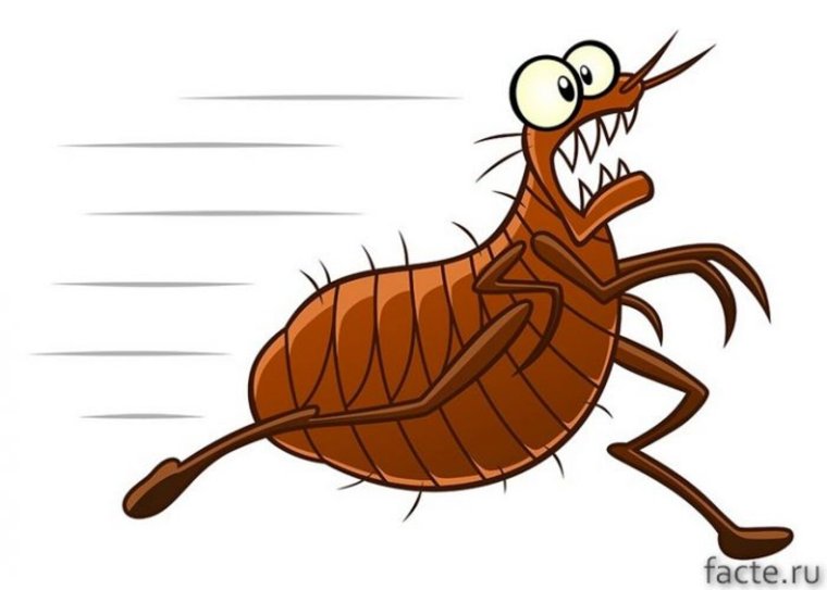 Прыжок блохи