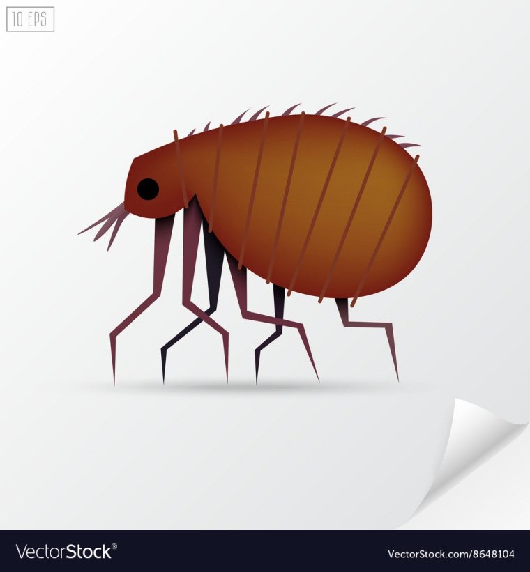 Смешная блоха мультяшная